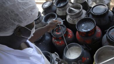 CMN libera linha de capital de giro a cooperativas de leite no Pronaf