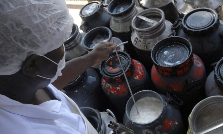 CMN libera linha de capital de giro a cooperativas de leite no Pronaf