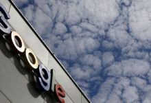 Parceria com Google melhora eficiência do Cadastro Ambiental Rural