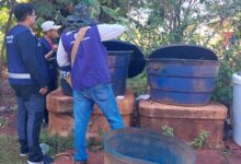 Chikungunya: ministro classifica como crítica situação em Dourados