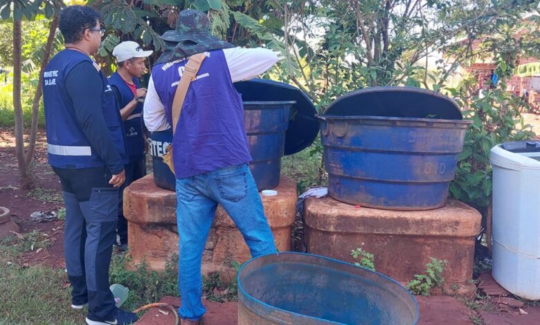 Chikungunya: ministro classifica como crítica situação em Dourados