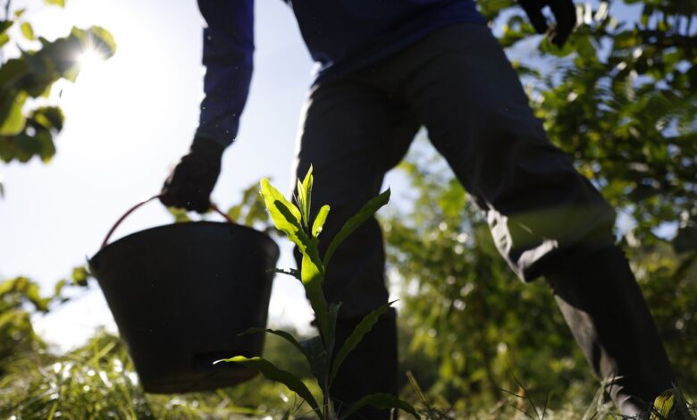 Governo apresenta plano para desenvolver bioeconomia no país