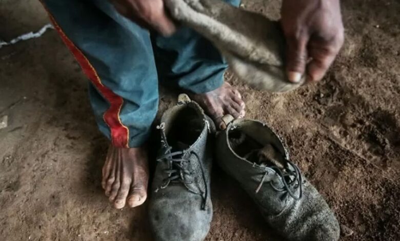 Amado Batista e BYD são incluídos em lista de trabalho escravo do MTE