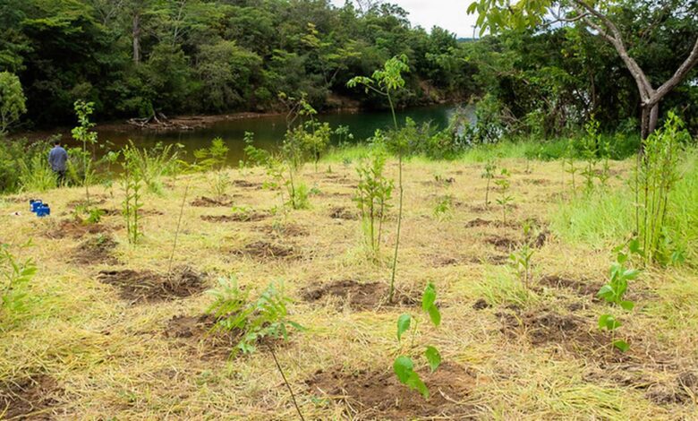 Parque não inclui área destinada a salvar BRB, diz associação