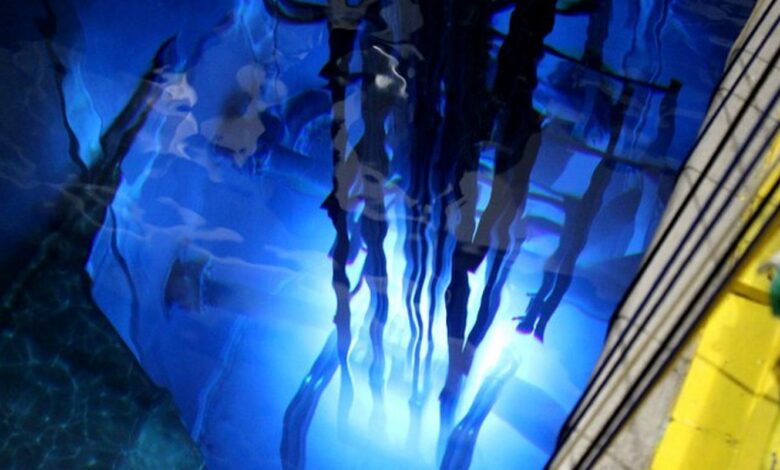 Pesquisas em reator nuclear da USP serão feitas temporariamente em BH