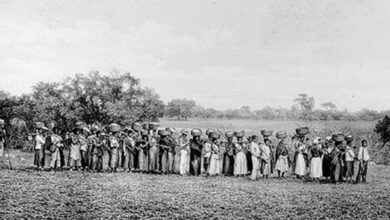 Maioria de empresários que apoiou ditadura vem de famílias escravistas