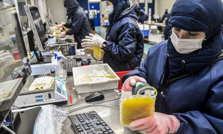 Dia Mundial da Hemofilia: campanha reforça importância do diagnóstico