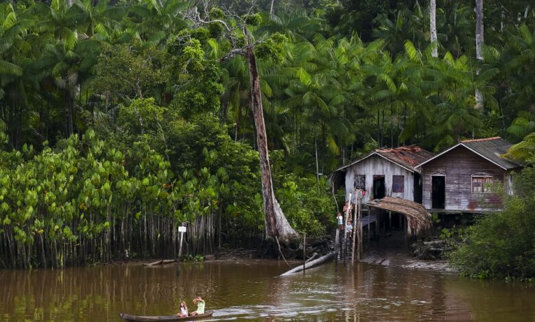 Projeto leva tratamento gratuito a doenças negligenciadas no Amazonas