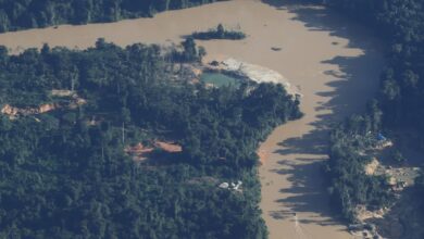 MPF denuncia mineração ilegal na Amazônia à CIDH