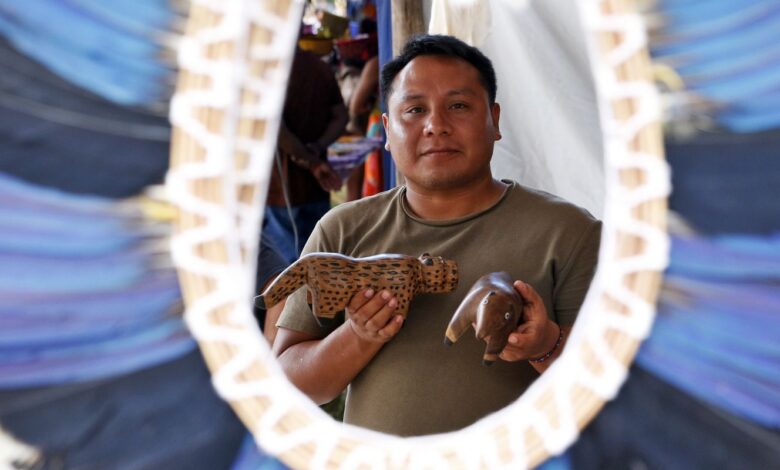 Indígenas relatam que desmatamento impacta produção de cocares