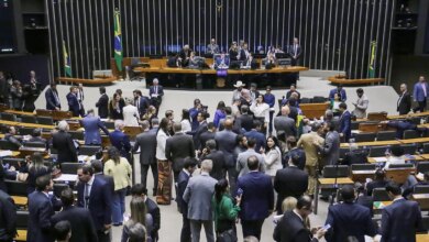 Câmara aprova Medida Provisória com novas regras para seguro-defeso