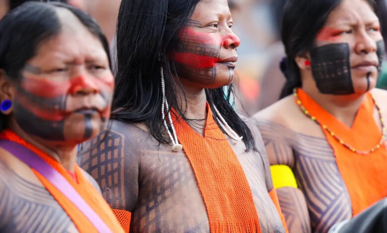 Campanha vai aplicar 89 mil doses de vacinas em territórios indígenas