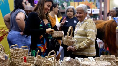 Brasil já tem 4,5 milhões de empreendedores da Economia Prateada