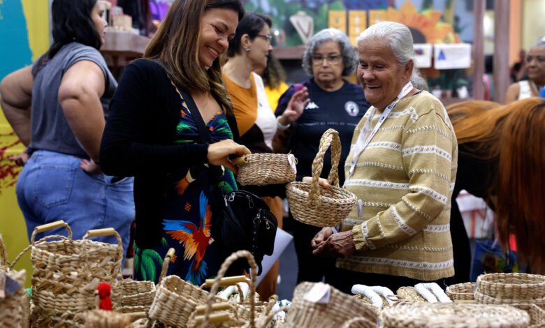 Brasil já tem 4,5 milhões de empreendedores da Economia Prateada