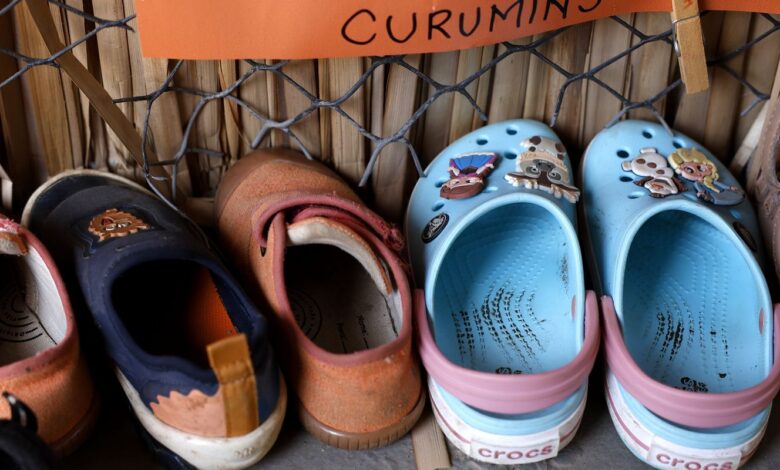 Censo: 17% de creches e pré-escolas têm itens básicos para funcionar