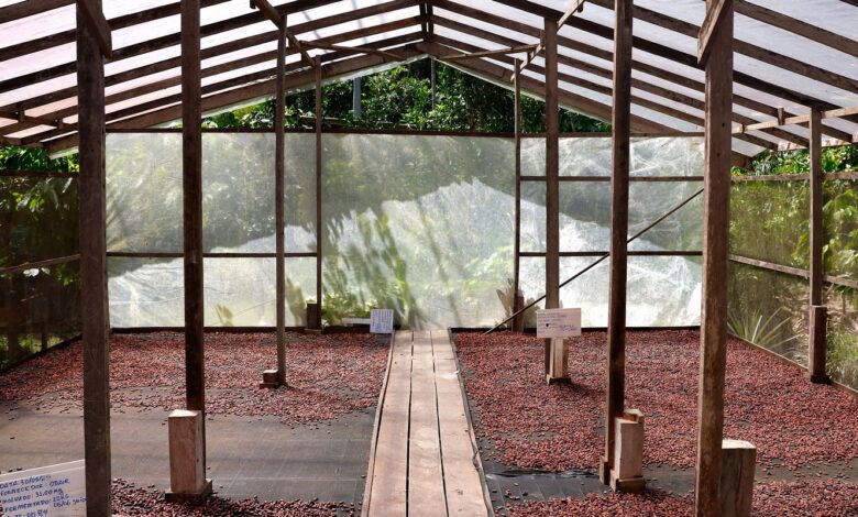 Edital seleciona projetos de inovação no Amazonas, Pará e Rondônia