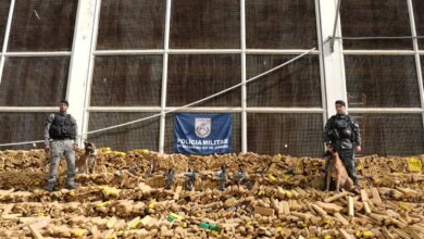 RJ: Operação na Maré apreende recorde de 48 toneladas de drogas