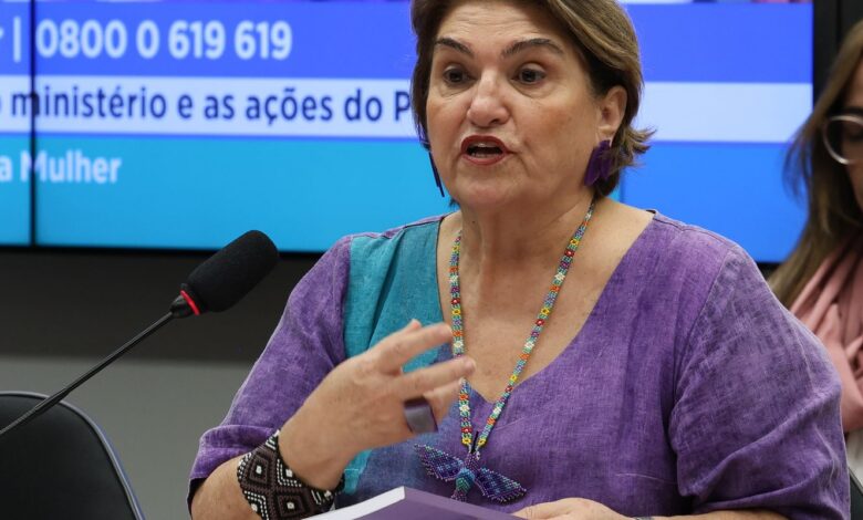 Brasil propõe pacto regional contra feminicídio no Mercosul