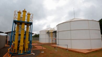 Gás natural: Conselho reduz meta de descarbonização do setor para 0,5%