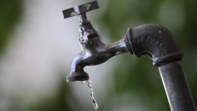 Égua cai em adutora e afeta abastecimento em 300 bairros de BH