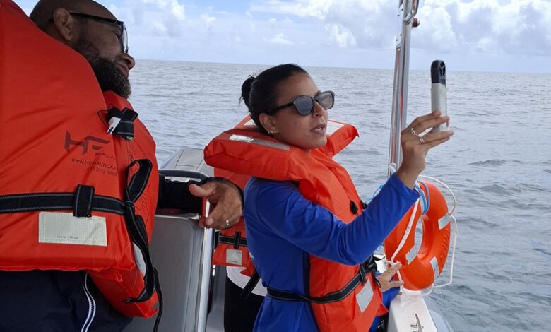 Projeto mapeia fauna marinha da Bahia por meio do DNA ambiental