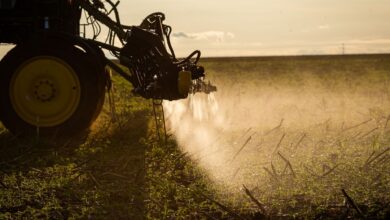 Agronegócio poderá usar linha de crédito do FAT para inovação