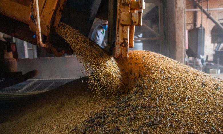 Economia brasileira cresce 1,1% no 1º trimestre