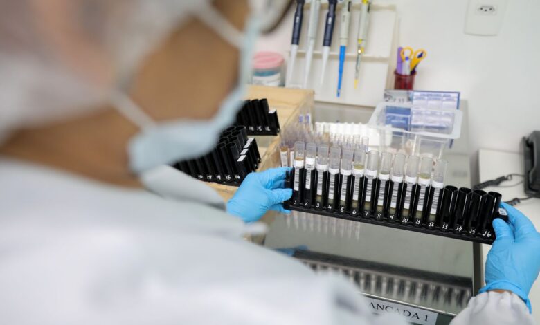 Fiocruz obtém patente para tratamento contra malária resistente