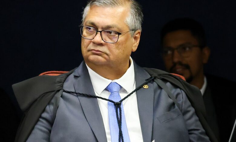Dino dá 10 dias para governo mostrar plano de combate a incêndios