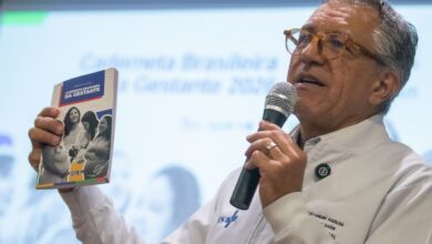Ministério da Saúde libera versão digital da Caderneta da Gestante