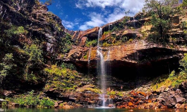 Criança de 8 anos é atacada por onça na Chapada dos Veadeiros