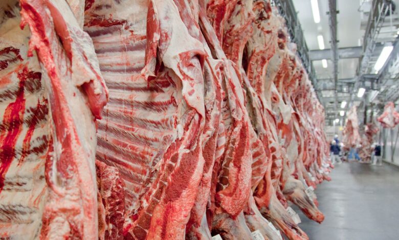 Governo promete reverter veto da UE a carnes e animais brasileiros