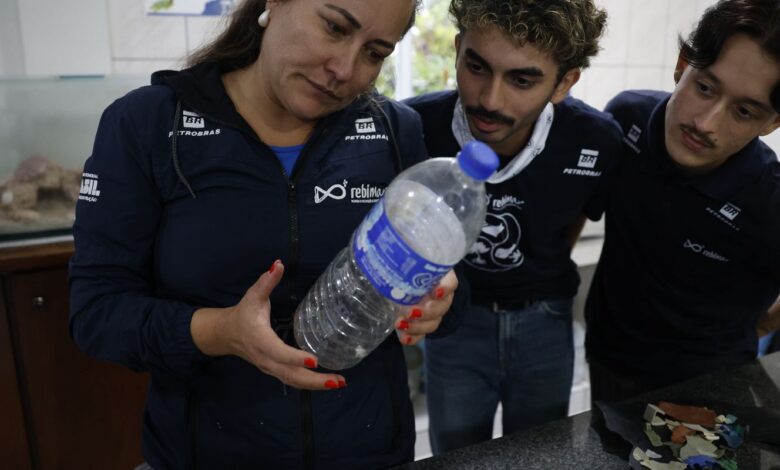 Mais de 93% dos peixes vendidos no litoral do Paraná têm microplástico