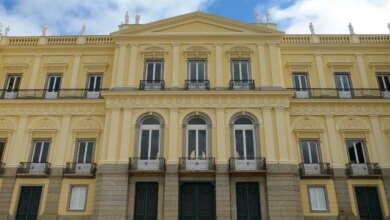 Museu recupera negativos fotográficos de vidro perdidos em incêndio