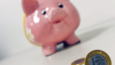 Entenda como funciona investir no Tesouro Reserva