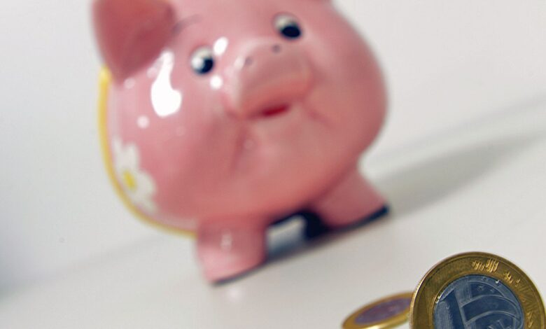 Entenda como funciona investir no Tesouro Reserva