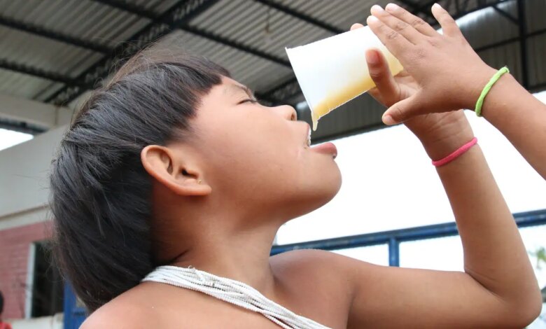 Consumo de alimentos ultraprocessados cresce entre povos tradicionais
