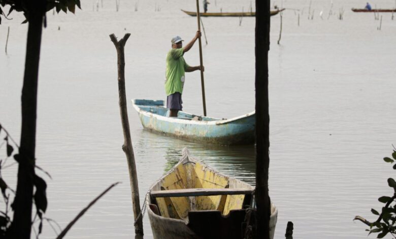 Conferências estaduais de aquicultura e pesca serão em junho e julho| Agência Brasil