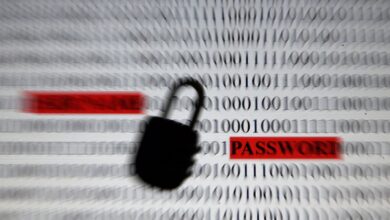 Material do governo ajuda população a se proteger de golpes digitais