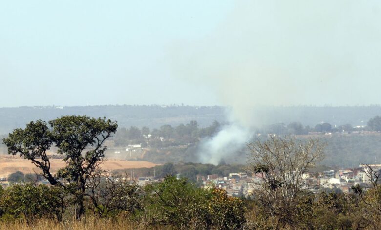 MMA lança edital para arborizar periferia urbana de pequenas cidades