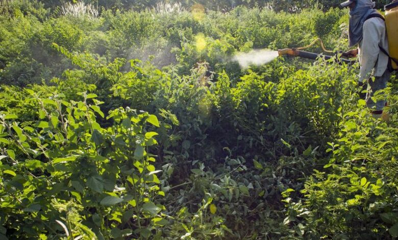Governo vai monitorar presença de agrotóxico em bacias hidrográficas
