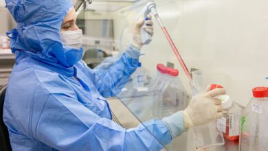 Estudo usa células-tronco contra complicações do transplante de medula