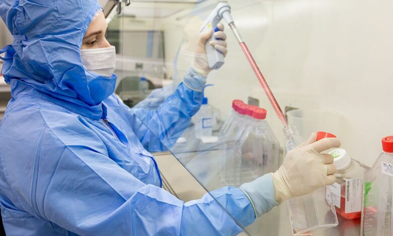 Estudo usa células-tronco contra complicações do transplante de medula