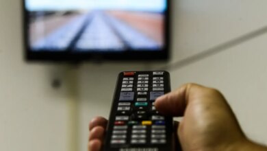 Tela Brasil: streaming público estreia com mais de 550 obras