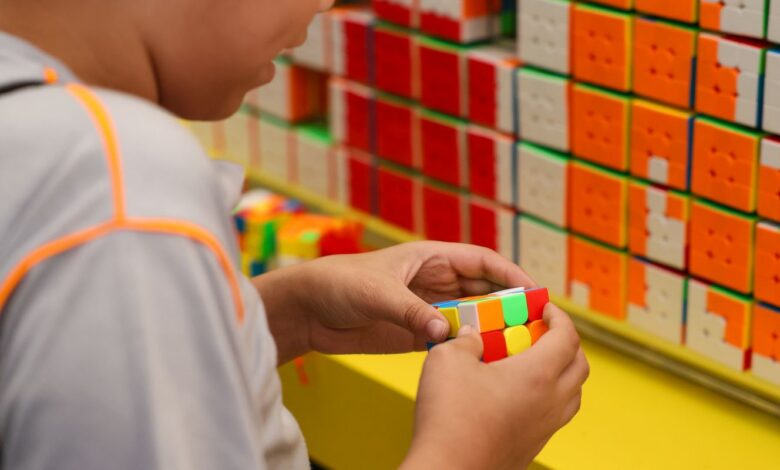 Começa primeira etapa do Censo da Educação Básica 2026