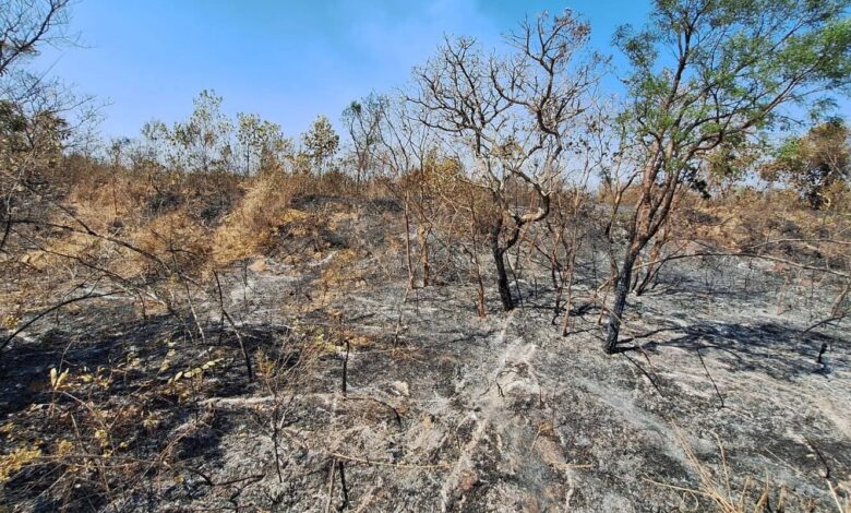 Mudanças climáticas já afetam 85% dos brasileiros, diz pesquisa