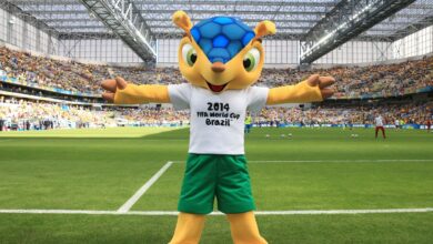 Mascote da Copa de 2014, tatu-bola deve ganhar plano de proteção