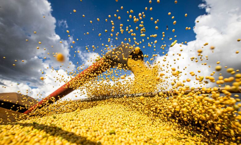 Conab: produção de grãos pode chegar a 358,6 milhões de toneladas