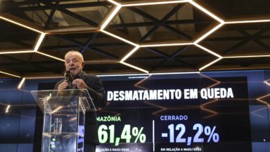 Desmatamento na Amazônia cai 61,4% em maio de 2026