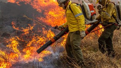 Governo repassa R$ 337 milhões para combate a incêndios e desmatamento